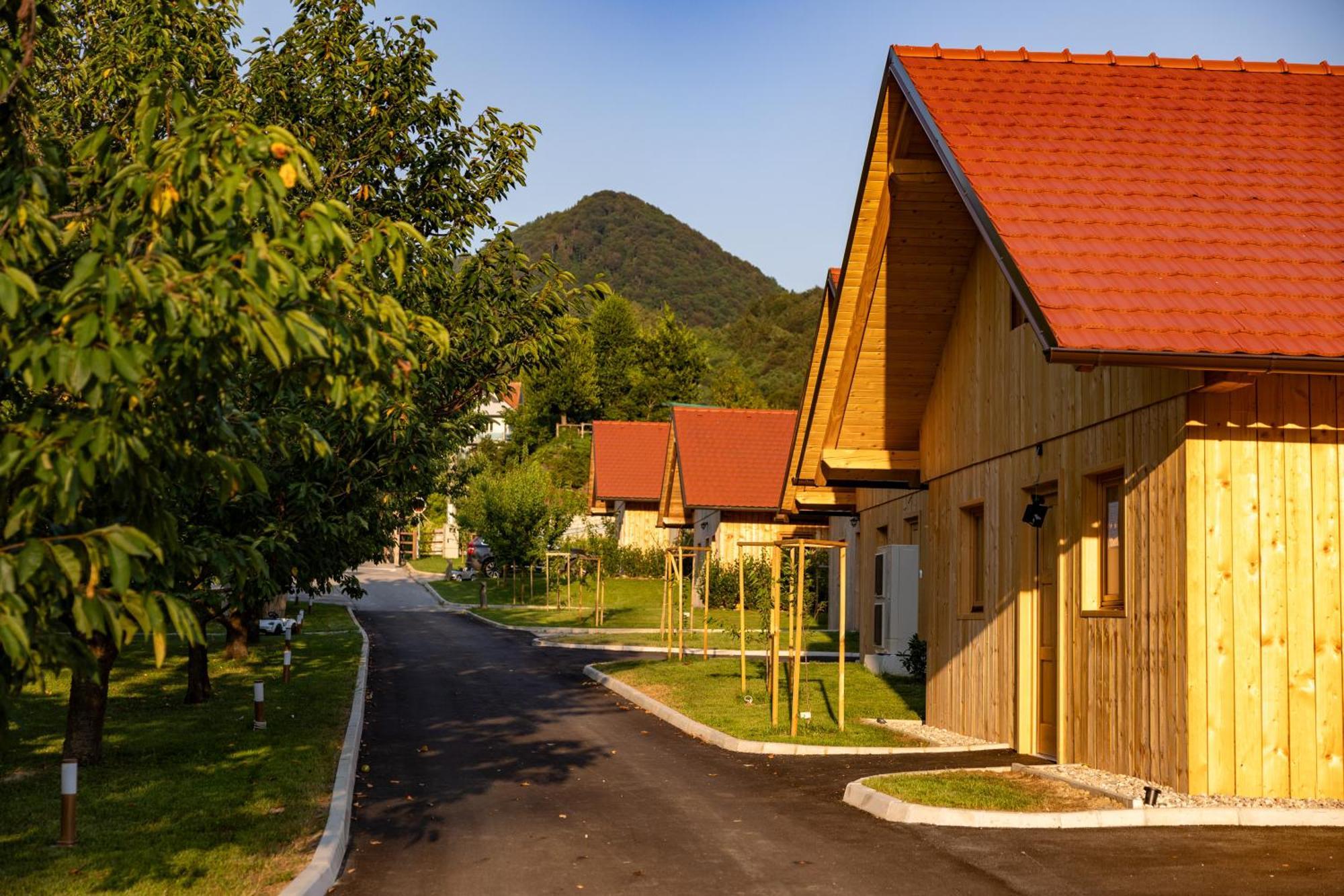 Martinova Izba - Family Bungalows Lasko Ngoại thất bức ảnh